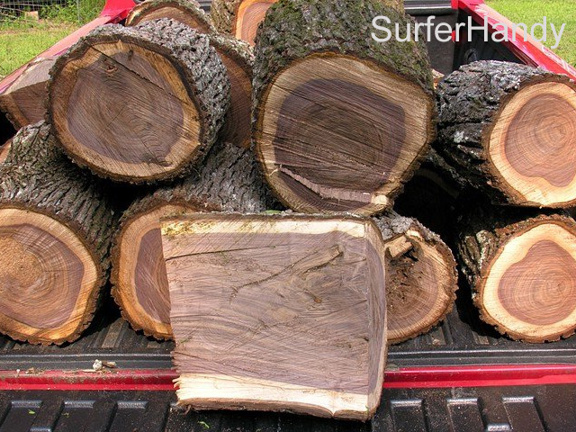 Is Black Walnut Good Firewood- A Guide to Fire Grade Woods