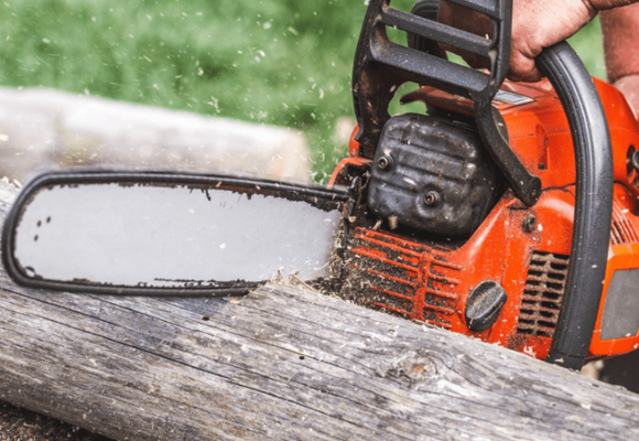 Does a chainsaw chain last longer, cutting fresh wood or dry wood? Find out!!!